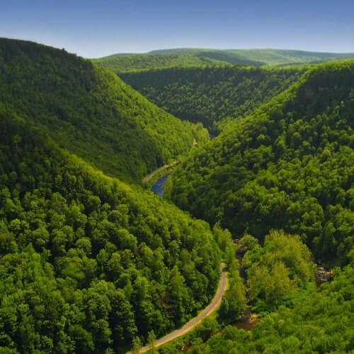 Nature